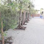 Gli Oleandri Altamura