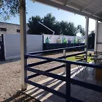 Gli Oleandri Altamura