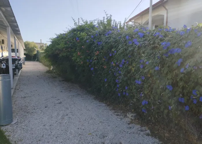 Gli Oleandri לינה וארוחת בוקר