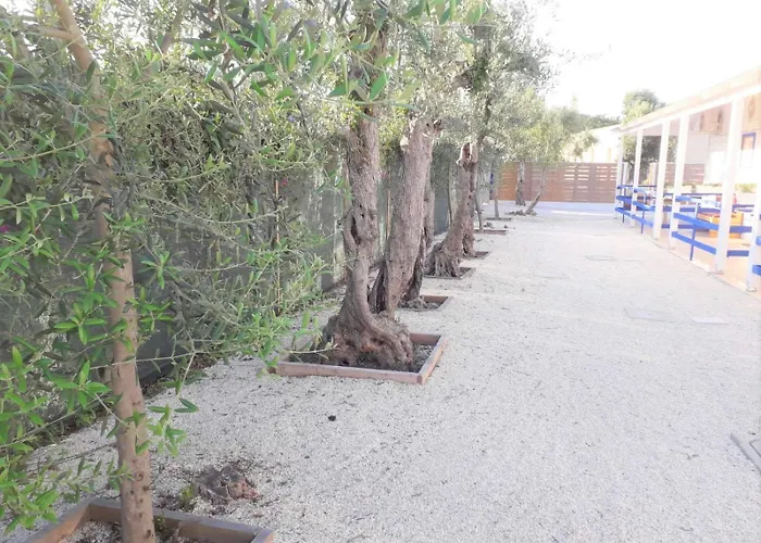 Gli Oleandri אלטאמורה